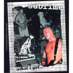 Sublime - What I Got Decal