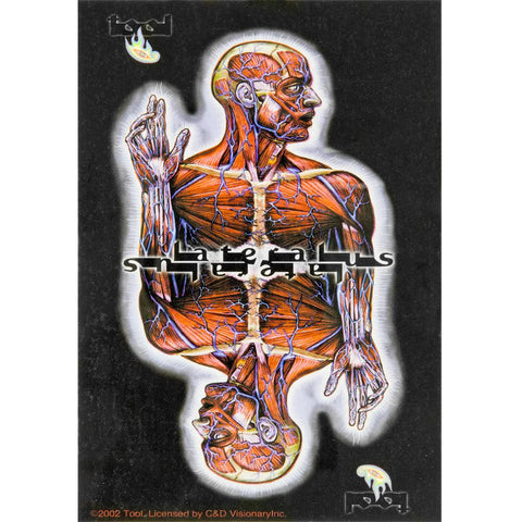 Tool - Lateralus Sticker