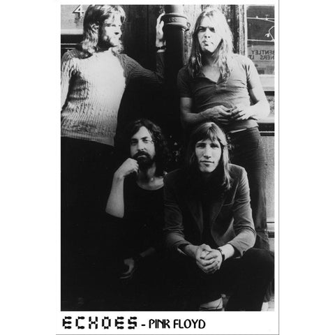 Pink Floyd - Echoes 24x36 Standard Wall Art Poster