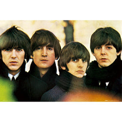 The Beatles - For Sale 24x36 Standard Wall Art Poster