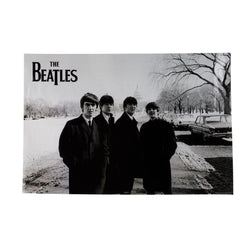 The Beatles - Washington DC 24x36 Standard Wall Art Poster