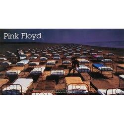 Pink Floyd - Momentary Lapse  Decal