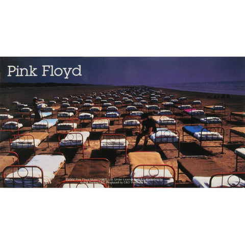 Pink Floyd - Momentary Lapse  Decal