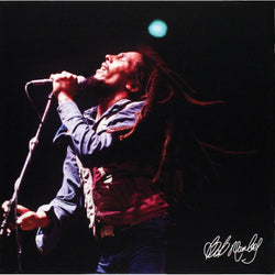 Bob Marley - Concert Small Canvas Print