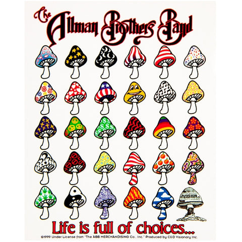 Allman Brothers - Choices Decal