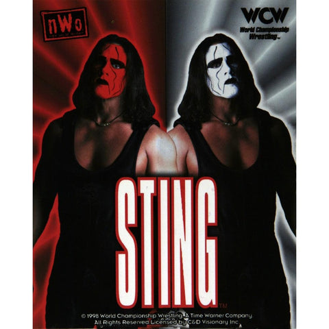 WCW - Sting Heaven and Hell Decal